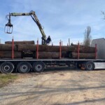Trupci Dendrocor