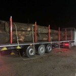 Dendrocor